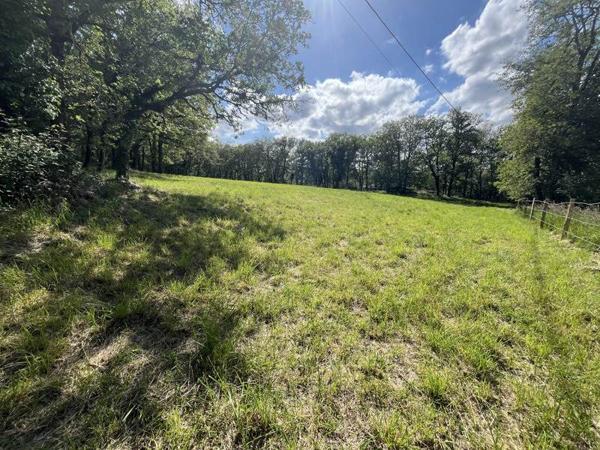 Terrain 43 900 € Parisot 3242 m² DPE