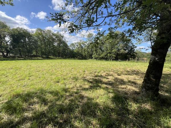 Terrain 43 900 € Parisot 3242 m² DPE
