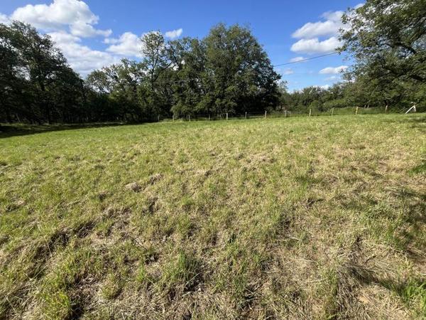 Terrain 43 900 € Parisot 3242 m² DPE