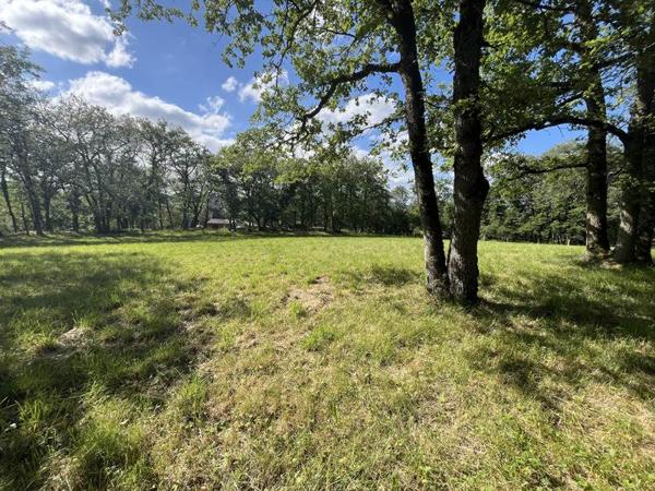 Terrain 43 900 € Parisot 3242 m² DPE
