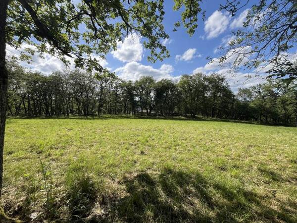 Terrain 43 900 € Parisot 3242 m² DPE