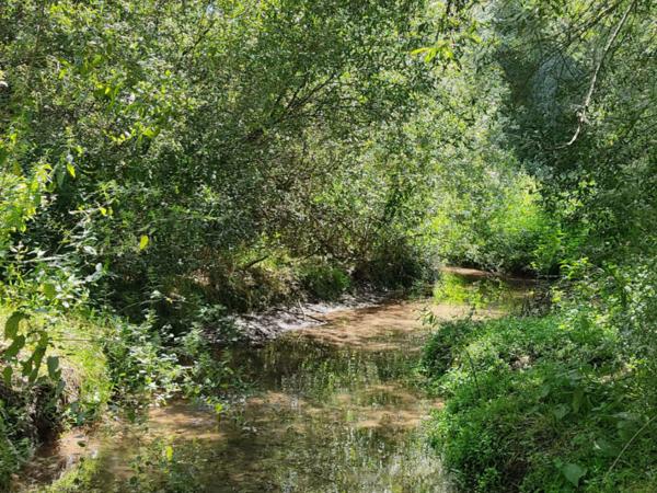 MAISON 6 CHAMBRES - 21510 ETALANTE Réf. 53037 | 199 000 €