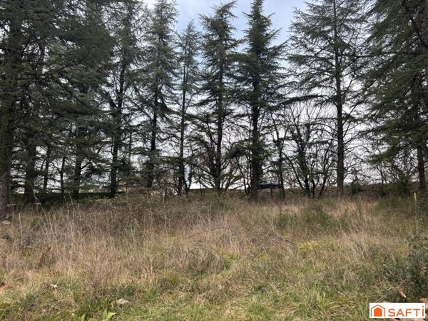 Terrain viabilisé avec vue