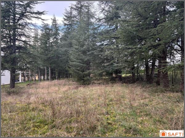 Terrain viabilisé avec vue