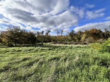 Terrain à Batir à vendre à Noyers-sur-Cher dans le Loir-et-Cher (41140), ref : 41033-1748