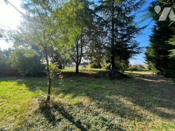 SAVENNIERES TERRAIN A BATIR