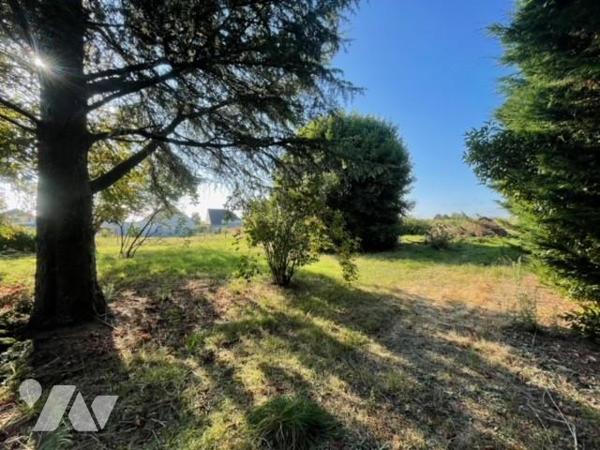 SAVENNIERES TERRAIN A BATIR