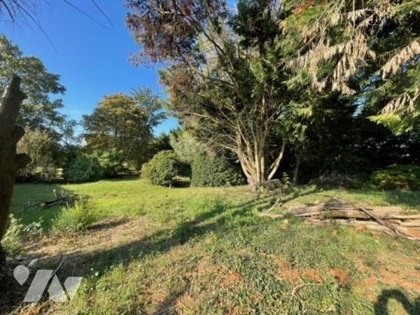 SAVENNIERES TERRAIN A BATIR