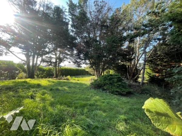 SAVENNIERES TERRAIN A BATIR