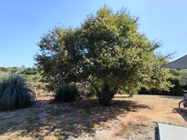 ARRADON / RARE SUR LE MARCHÉ
