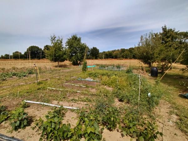 ARRADON / RARE SUR LE MARCHÉ