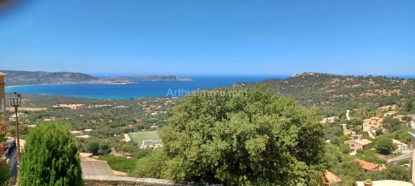 Vente                                                      Maison de village
                        
                     5 pièces                      144 m2                     à Lumio