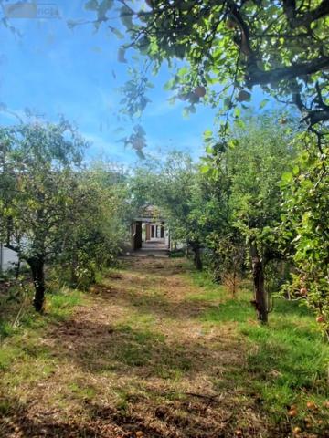 Achat - Maison Bauvin 59221 9 pièces 101 m 2 1081 m 2
