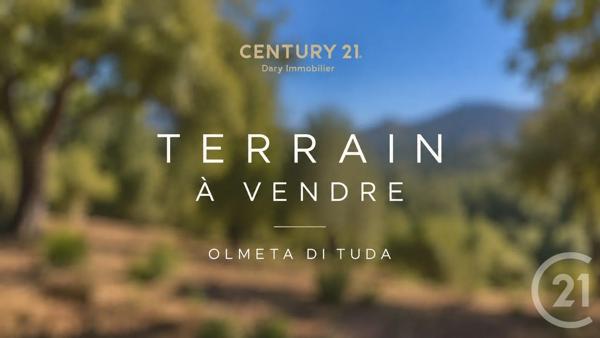 Terrain à vendre  6556 m 2   OLMETA DI TUDA  - 202