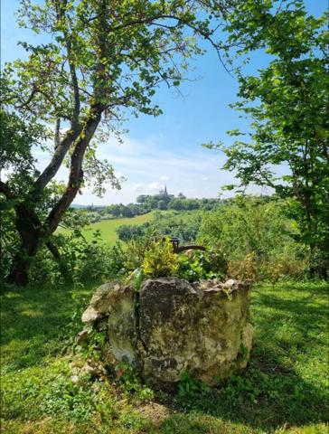 A vendre Jegun (Gers) maison de charme de 480 m2