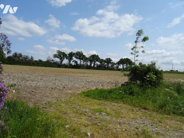 A VENDRE A MEE (53400) TERRE AGRICOLE