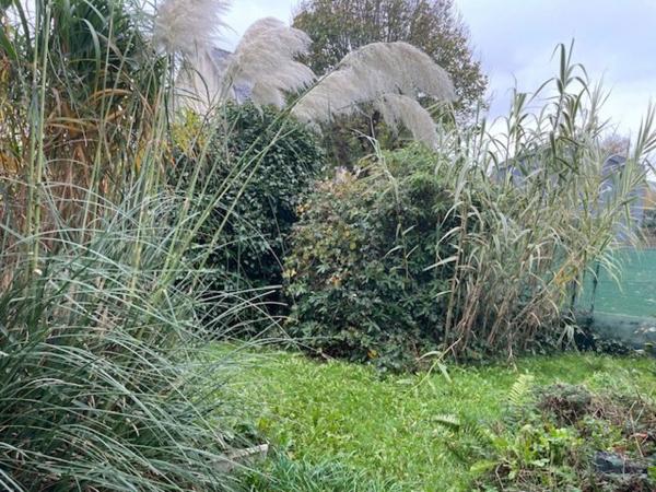 Achat vente Maison Châteaulin