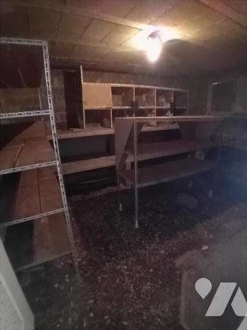 RUAUDIN, pavillon de 1967 sur sous-sol avec ses 2 chambres.