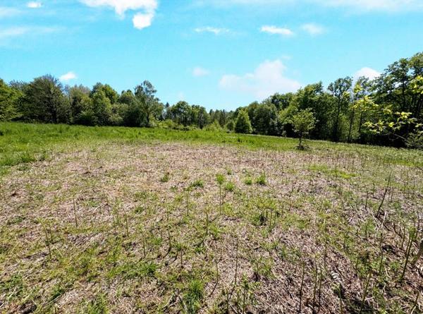 Maison à vendre |  Champagnac-la-Rivière |  6 pièces | 140 m²