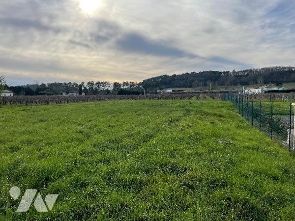 Terrain constructible.