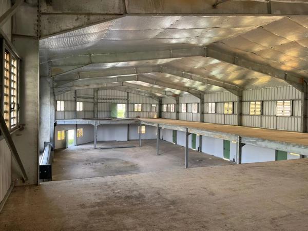 Grand hangar avec volets roulants métalliques à Remire-Montjoly - World Invest Patrimoine