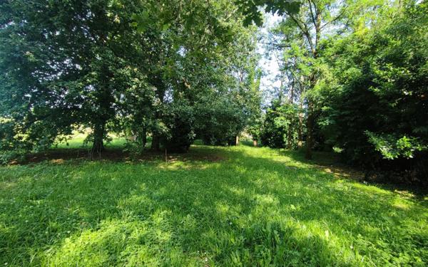 Terrain à vendre    Peyrehorade