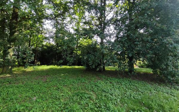 Terrain à vendre    Peyrehorade