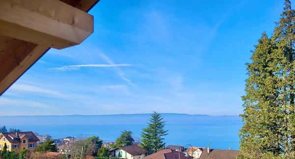 Dpt Haute Savoie (74), à vendre THOLLON LES MEMISES CHALET VUE LAC P5