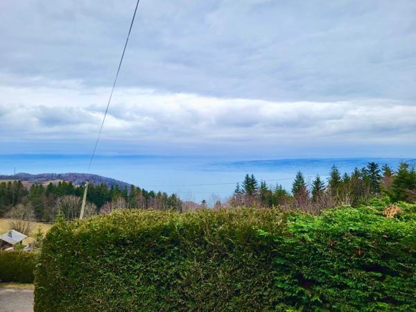 Dpt Haute Savoie (74), à vendre THOLLON LES MEMISES CHALET VUE LAC P5