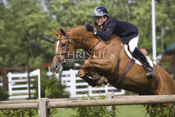 Magnifique château avec installations équestres de très haut niveau