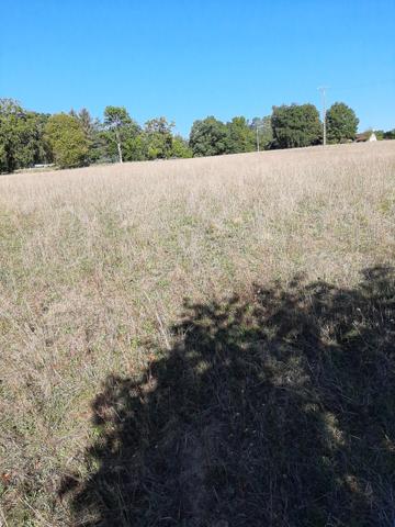 Terrain à vendre SAINT PRIEST LIGOURE (87)