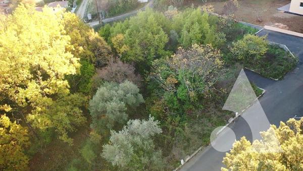 Terrain 980 m2