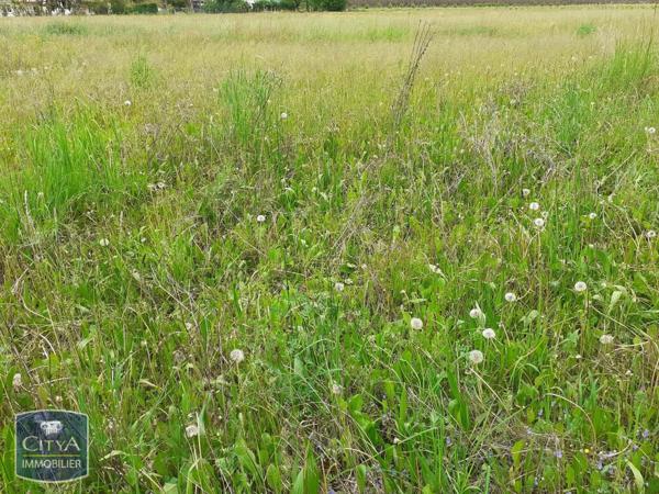 Terrain à vendre 1624m²