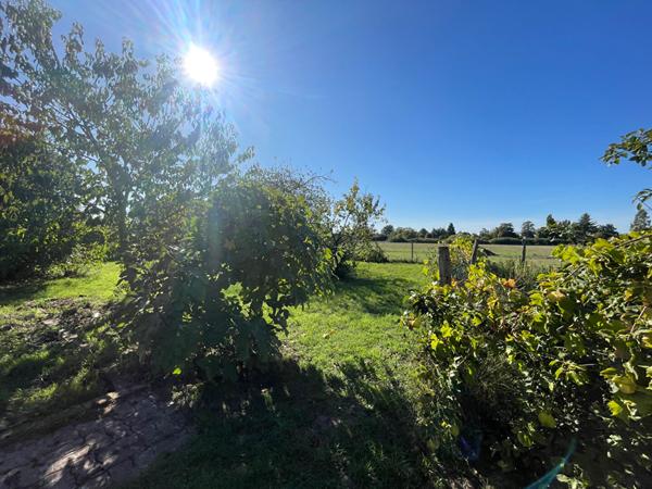 Maison - 2 chambres - jardin et 3 dépendances