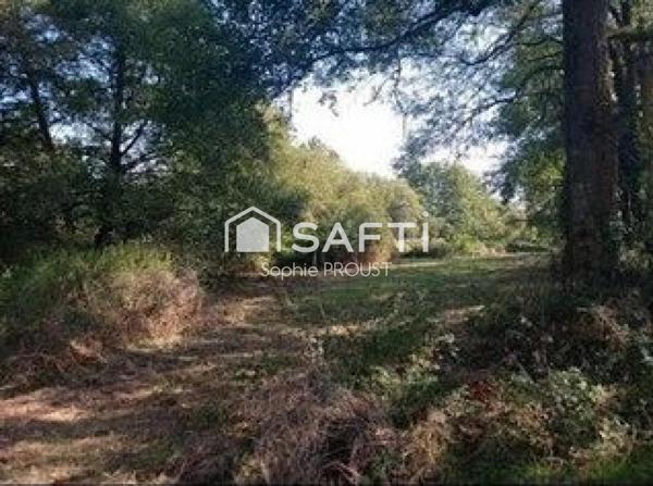 Terrain de loisirs de plus d'1 hectare