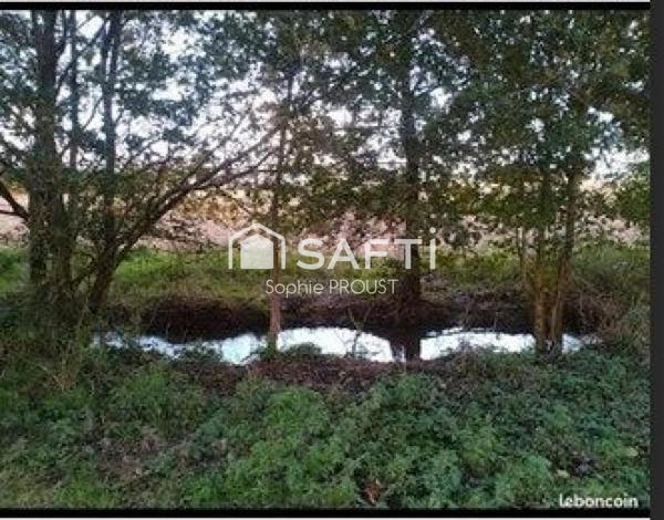 Terrain de loisirs de plus d'1 hectare