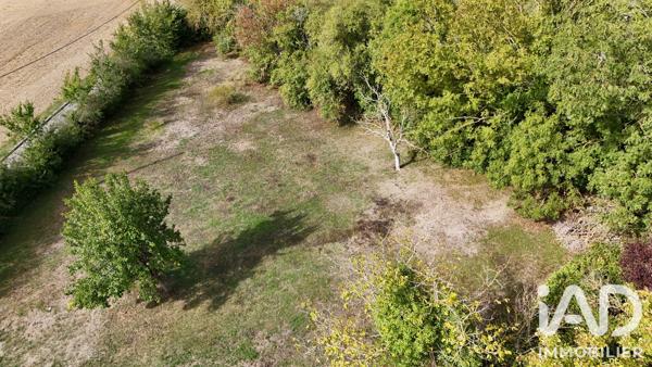 Terrain à vendre 1 226 m² Fontenay-Saint-Père