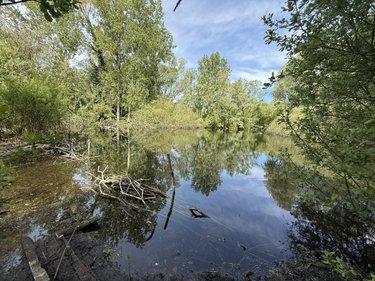 Terrain de loisirs - Bois - Etang à vendre à Daours dans la Somme (80800), ref : 80121-2853