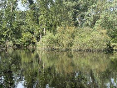 Terrain de loisirs - Bois - Etang à vendre à Daours dans la Somme (80800), ref : 80121-2853