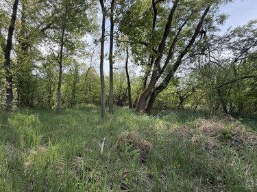 Terrain de loisirs - Bois - Etang à vendre à Daours dans la Somme (80800), ref : 80121-2853