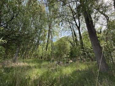 Terrain de loisirs - Bois - Etang à vendre à Daours dans la Somme (80800), ref : 80121-2853
