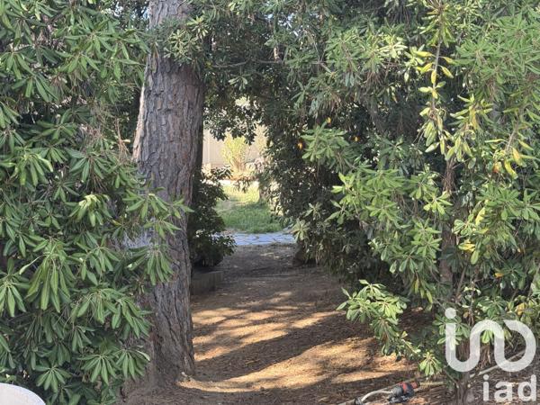 Maison à vendre 8 pièces 221 m² Villeneuve-de-la-Raho