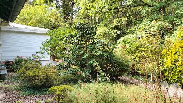 L'étude vous propose cette maison de 4 chambres avec pièce palière située dans un écrin de verdure