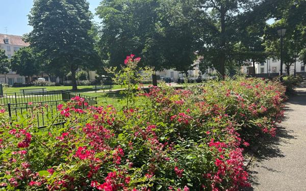 Maison à vendre    8 pièces • 160 m2 Mulhouse