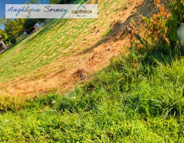 Terrain à vendre BLETTERANS (39)