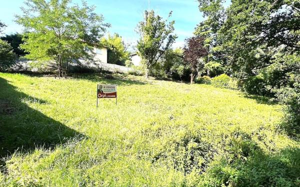 Terrain à vendre    Lozanne