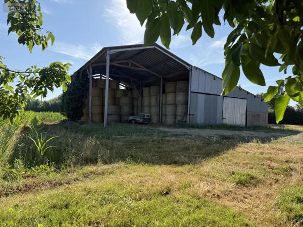 Achat - Maison Beaupréau-en-Mauges 49600 5 pièces 111 m 2 3950 m 2