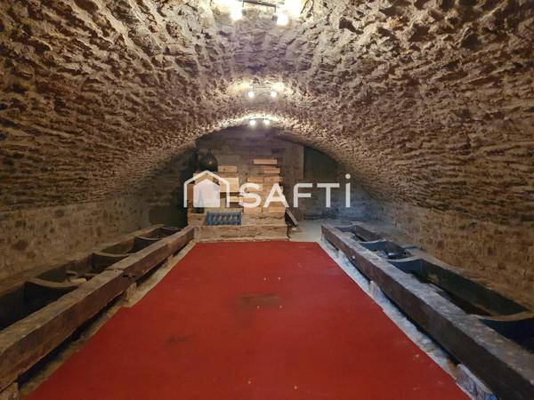 Magnifique maison (rez-de-chaussée + 3 étages)