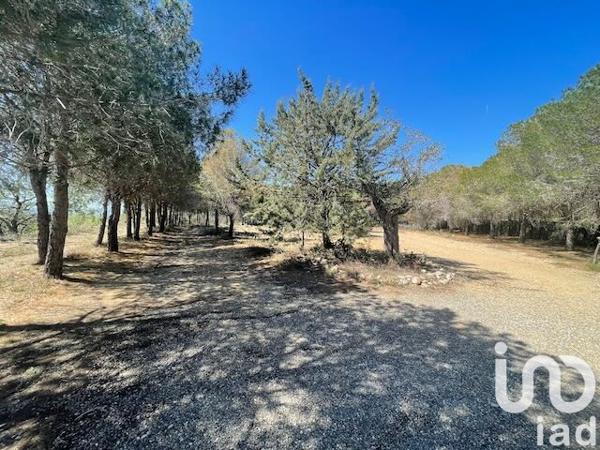 Terrain à vendre 13 930 m² Elne