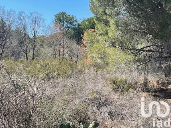 Terrain à vendre 13 930 m² Elne